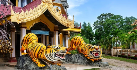 Visite du "Temple de M. Tigre"