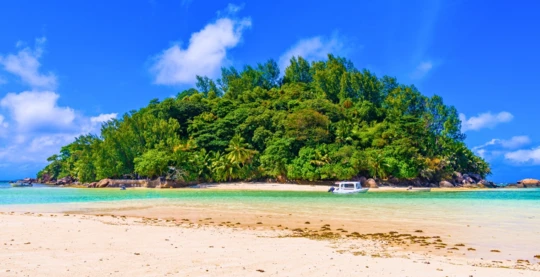 Visita a la isla Moyenne