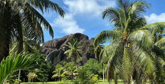 Excursión guiada por la mañana en La Digue