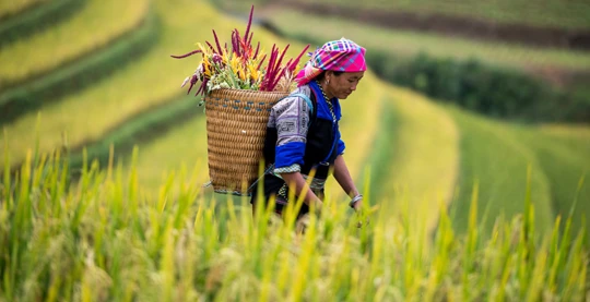 Besuch der Hmong-Gemeinschaften