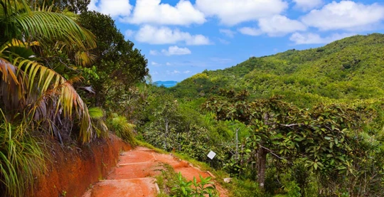 Visita del Valle de Mai