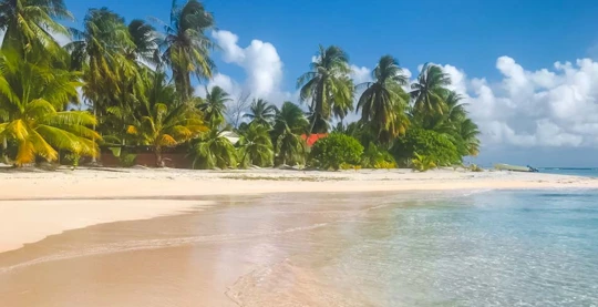 Dinghy excursion to the "motus aux sables roses" (pink sands)