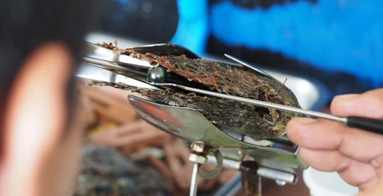 Visit to the village of Rotoava and a pearl farm