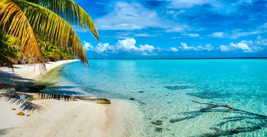 Excursion à Aratika