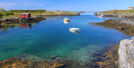Excursion aux îles de Vega