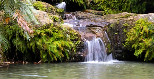 Trek à une grande cascade : Ambaliha