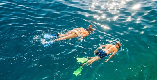 Baignade et snorkeling