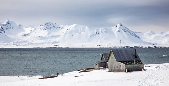 Escursioni a Kongsfjorden