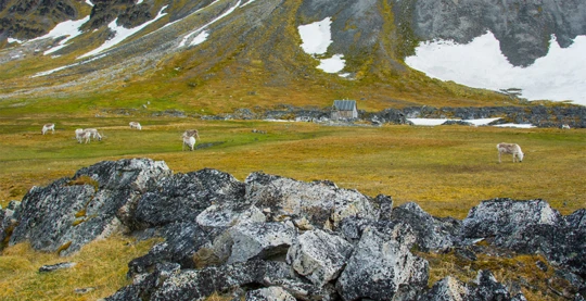 Randonnée à Bellsund