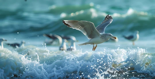 Beobachtung von Vögeln