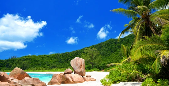 Visita de la isla del coco