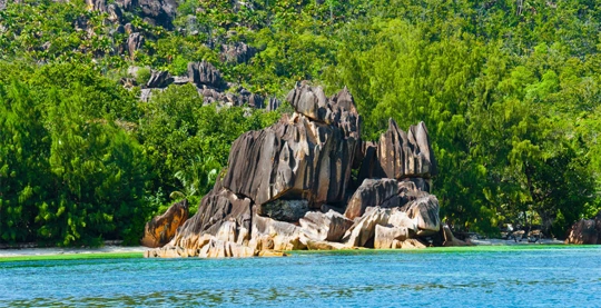 El paraíso de las aves en Cousin