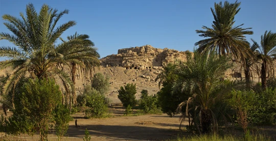 Visit of the city of El Kab