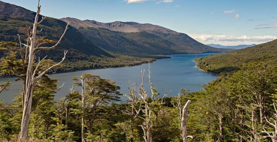 Express-Tour durch den Feuerland-Nationalpark in Ushuaïa