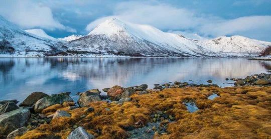 Randonnées dans la nature norvégienne