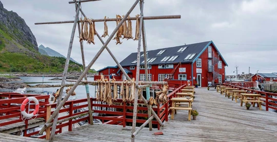 Visite des petits ports de pêche
