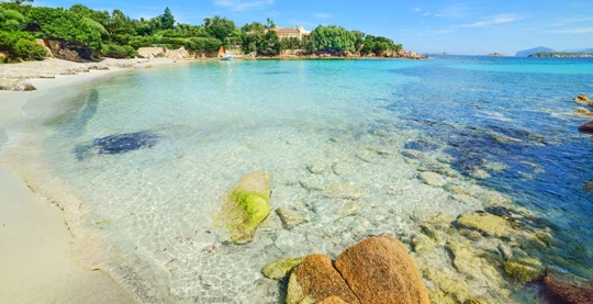 Visita a la playa del Príncipe o a la playa de Capriccioli