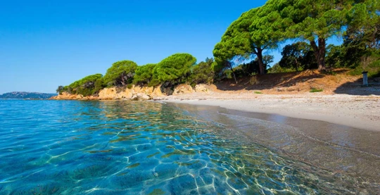 Visita alla spiaggia di Palombaggia
