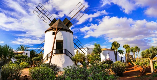 Besuch auf Fuerteventura