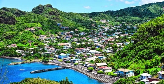 Tour in minibus con autista-guida