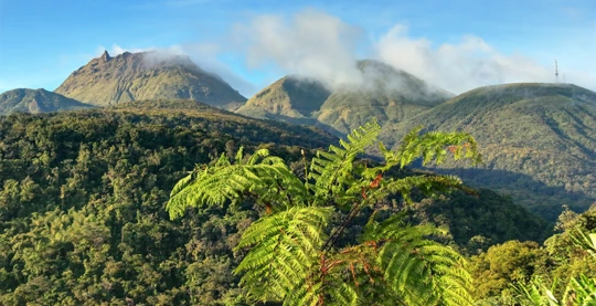 Escursione in taxi con guida alla scoperta di Soufrière
