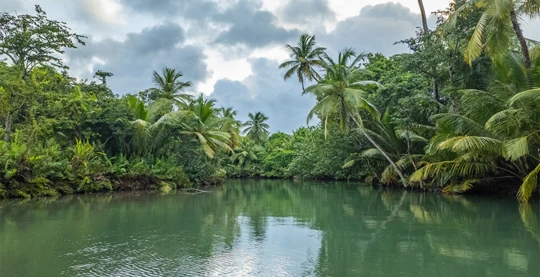 Discovering the Indian River