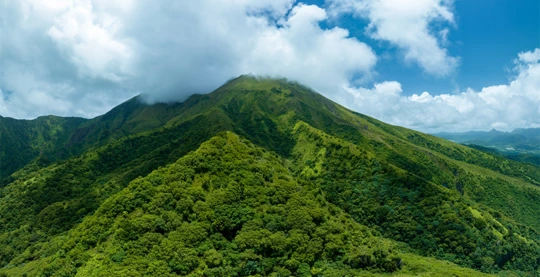 Crossing Mount Pelée