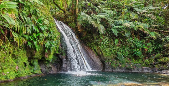 Visit to the crayfish waterfall