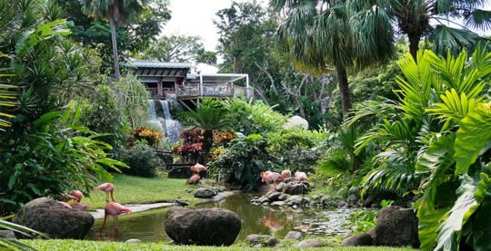 Visit to the botanical garden