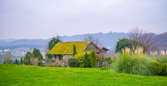 Visita a una fattoria locale