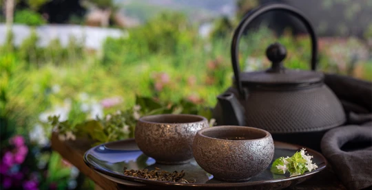 Viaje a una casa local