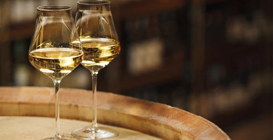 Wine tasting at Bire Winery, Lumbarda