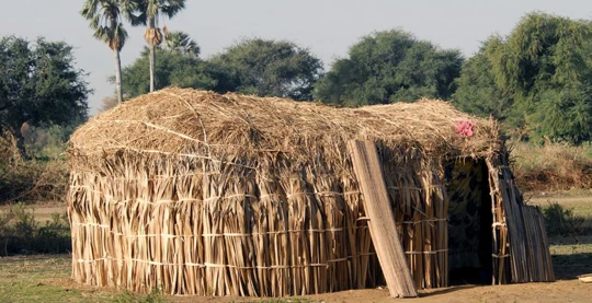 Promenade dans la forêt de Goumel
