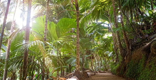 Recorrido por el Valle de Mai