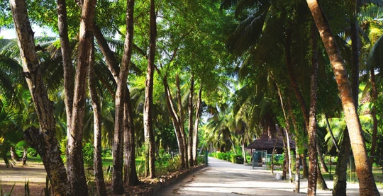 Visita a Union Estate