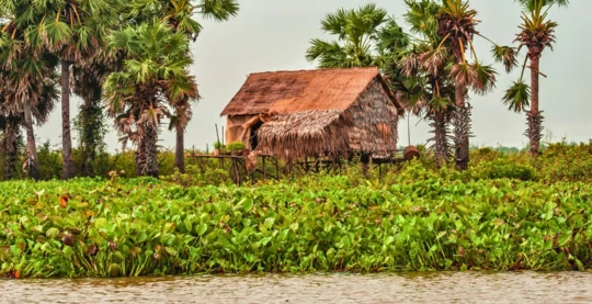 Promenade dans le village traditionnel des rives du Mékong