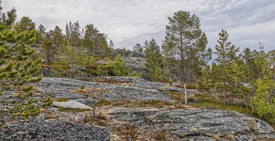 Geführte Wanderung auf den Berg Komsa