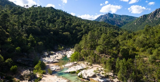 Tyrolienne in the forest of Sainte Lucie