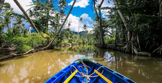 The Indian River by boat