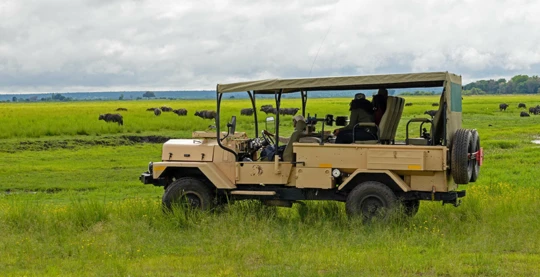Exploración en 4x4 del Parque Nacional de Chobé