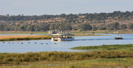 Safari acuático por el río Chobé