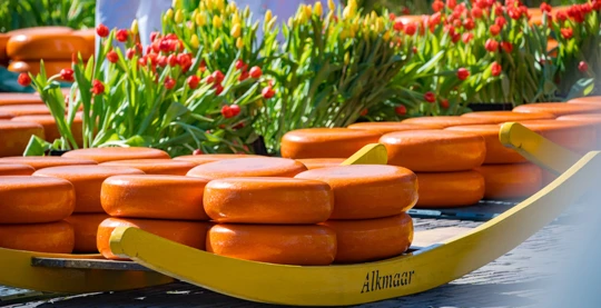 Visite d'Alkmaar et le musée des fromages