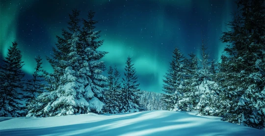 Arktische Küstenwanderung - Erleben Sie die Outdoor-Erfahrung der Arktis