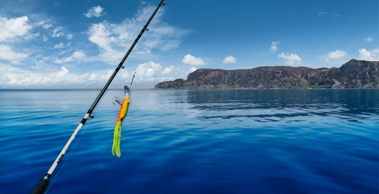 Fjordangeln , Trondheim