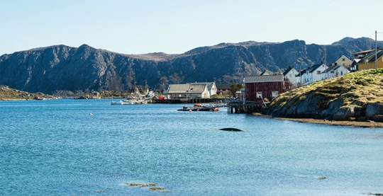 Magerøya Island ATV Winter Safari