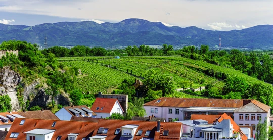 Free discovery of Vieux-Brisach