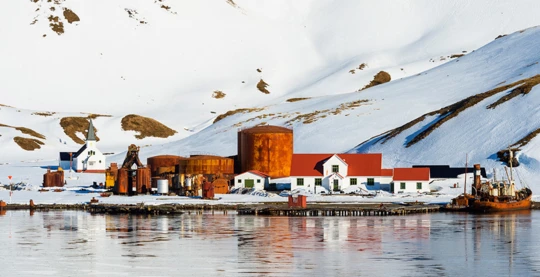 Visitare ex stazioni baleniere o basi scientifiche