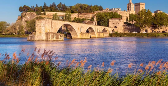 Visita guidata di Avignone