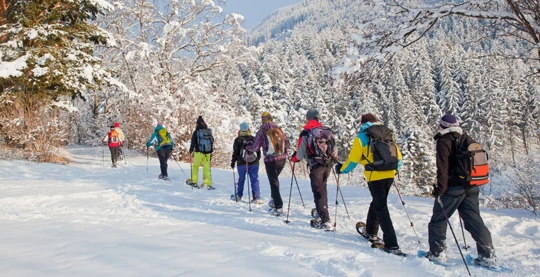 Randonnées à pied ou en raquettes
