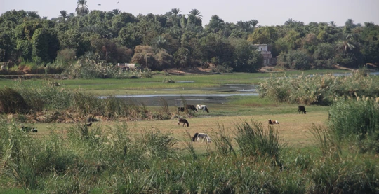 Visite du village Herdiab